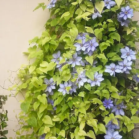 아파트 Verde Terrazza Sul Po *